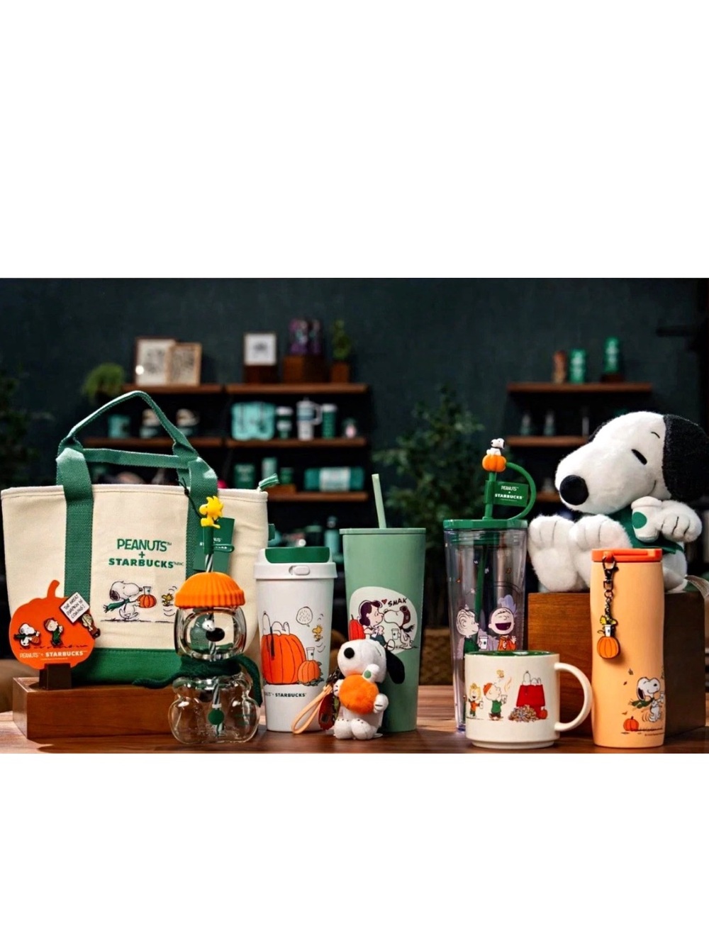 Starbucks x Peanuts Snoopy full 10 piece collection